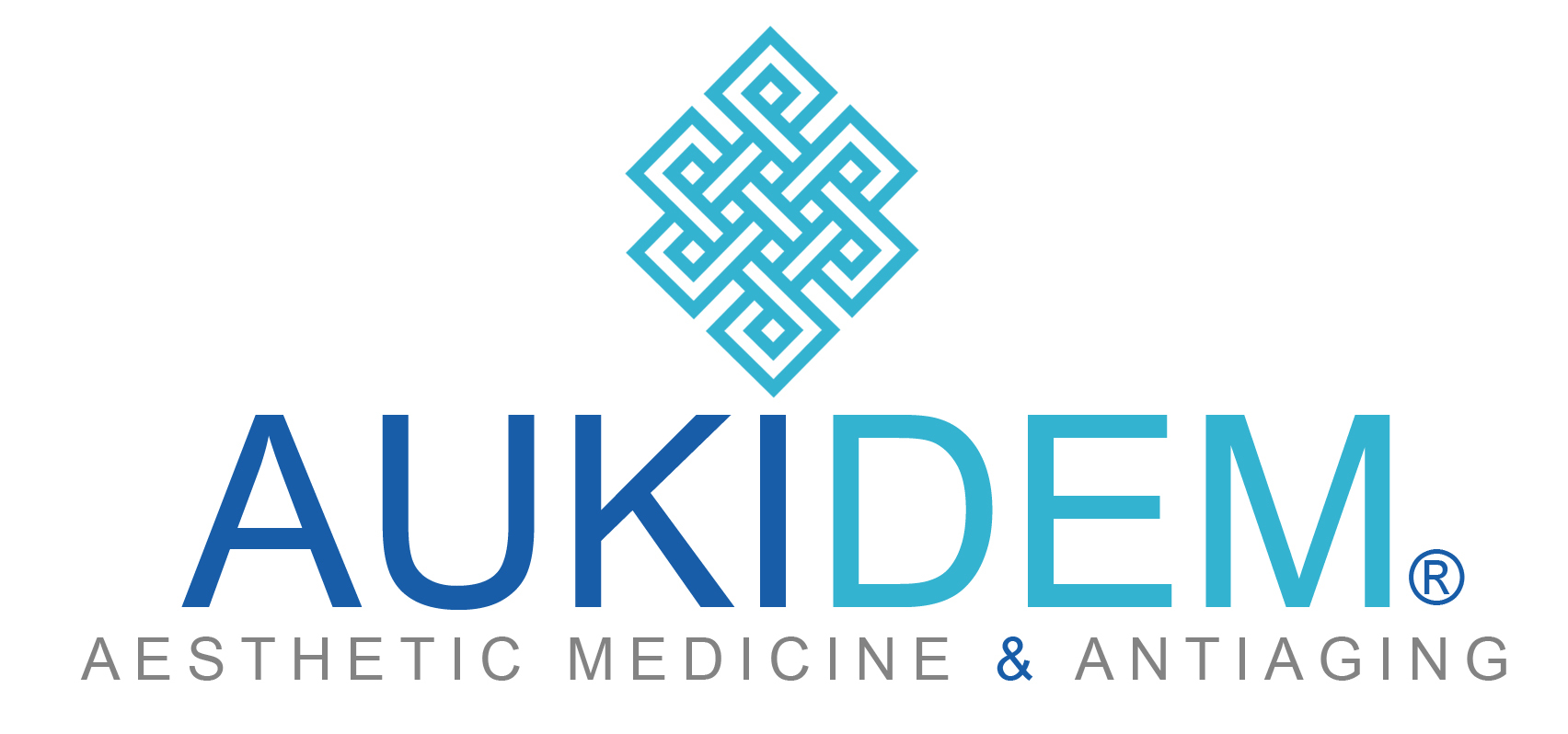Logo AUKIDEM